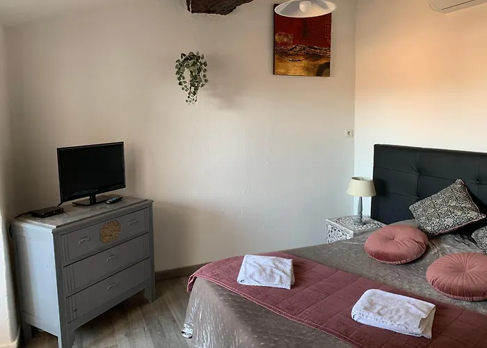 Vue Imprenable Cite - 4 Personnes * Καρκασόν
